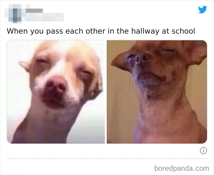 50 Hilarious Tweets That Sum Up What It’s Like Having A Sibling