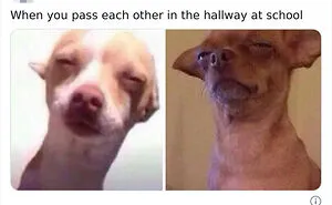 50 Hilarious Tweets That Sum Up What It’s Like Having A Sibling