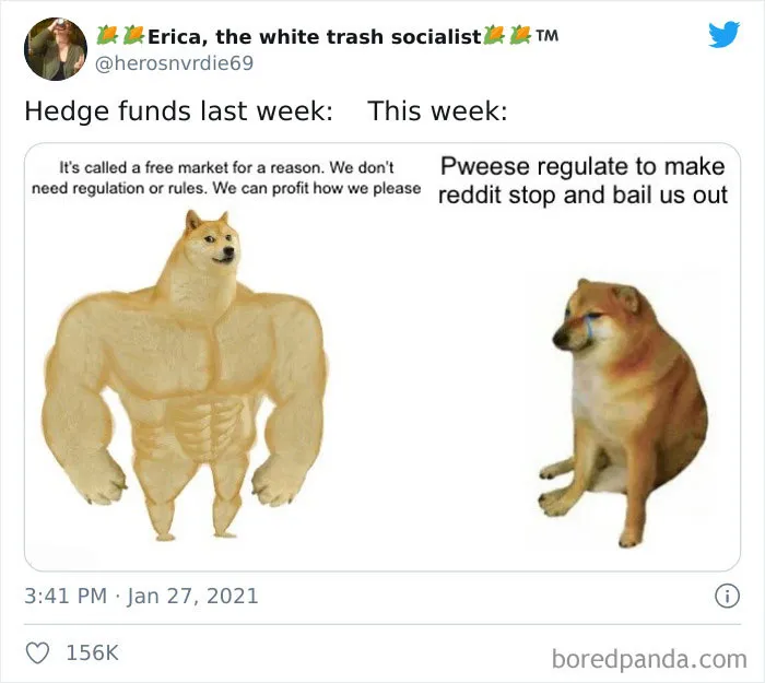 35 Of The Best Jokes And Memes That Sum Up The Current Ongoing Ridiculousness Over GameStop