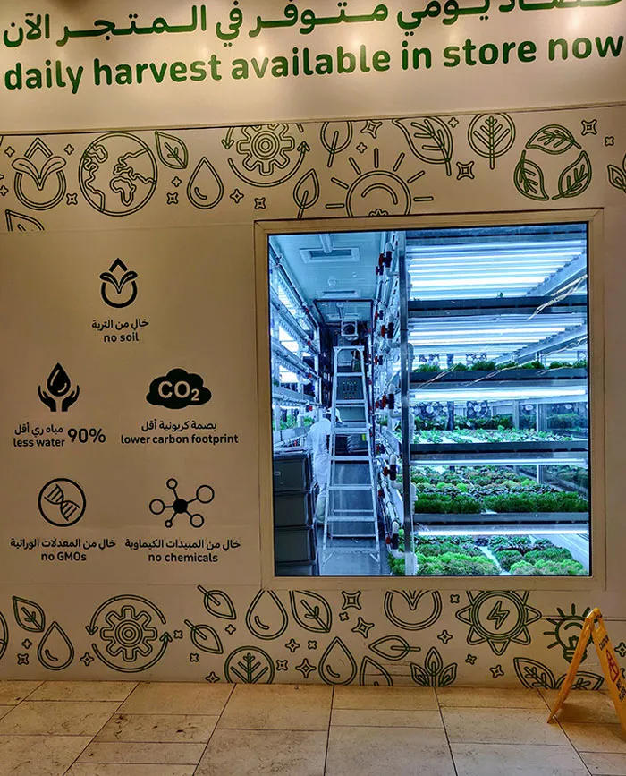 El hipermercado de mi barrio cultiva algunas de sus propias verduras