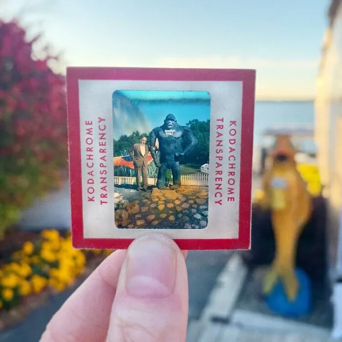 Photographer Uses Her Dad’s Old Slides To Create A Nostalgic Photo Series (31 Pics)