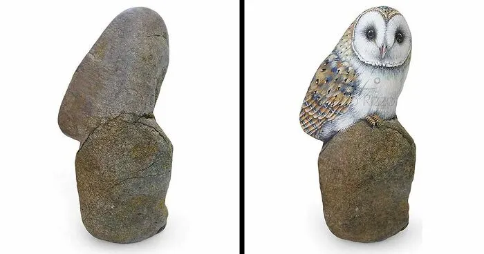 Artist Turns Rocks Into Incredible Animal Paintings (30 Pics)