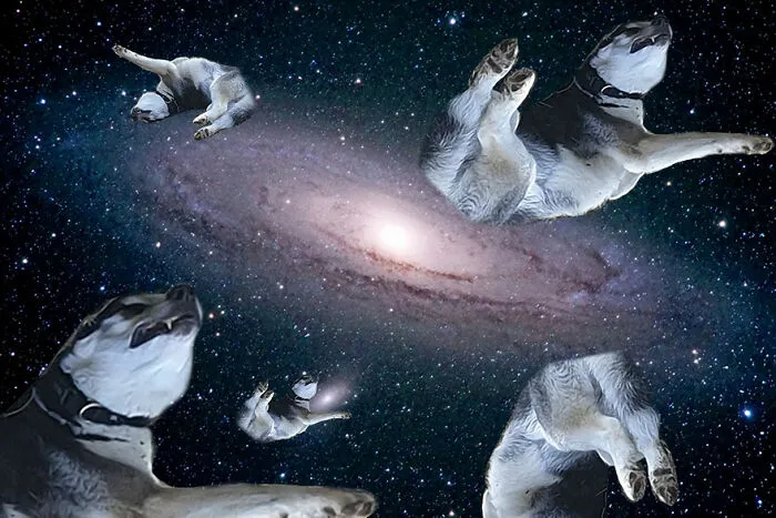 I Don't Know What I Created, But I Kinda Like It