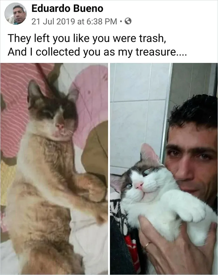Te abandonaron como si fueras basura y yo te recogí como mi tesoro...