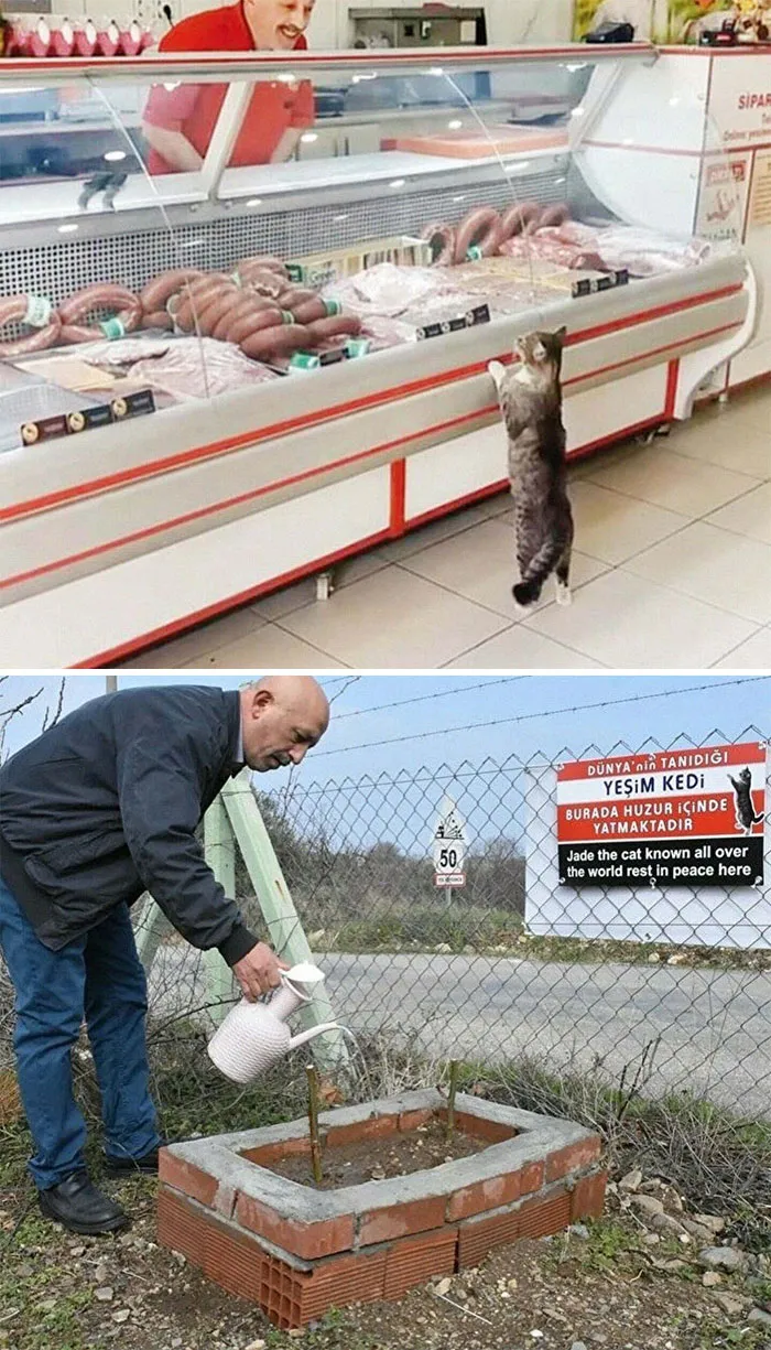 Siempre te recordaremos