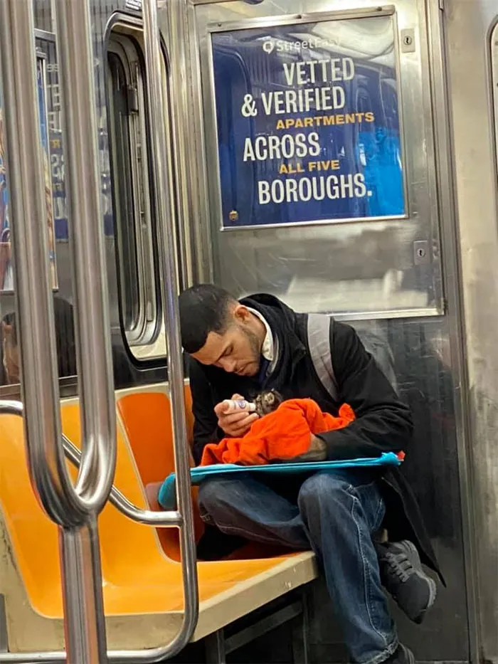 Dando un biberón a un gatito en el metro