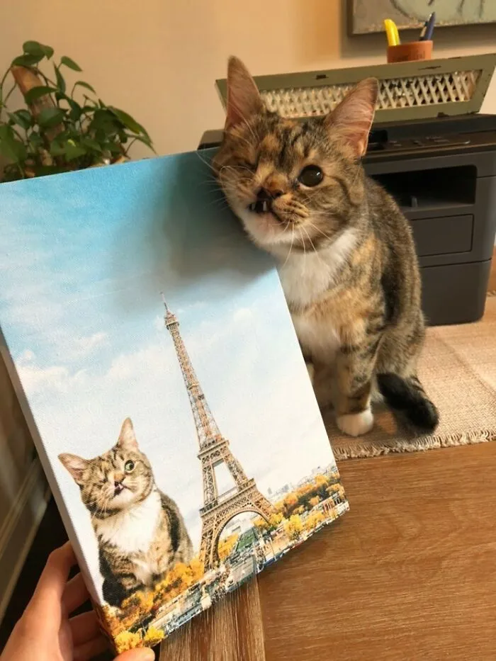 Could You Please Say "Hi" To Peany?