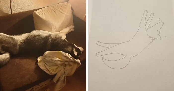 Hey Pandas, Make A Funny Picture Of Dogs (Closed)