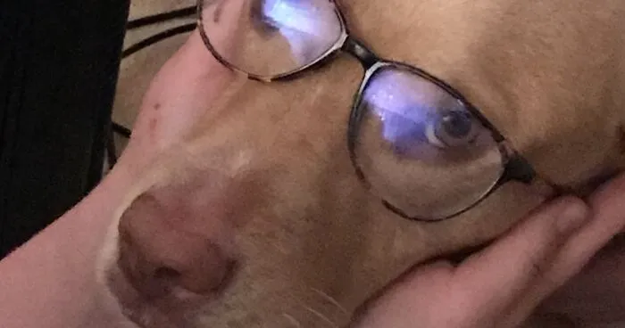 Hey Pandas, Post A Pic Of Your Pet Acting More Sophisticated Than You (Closed)