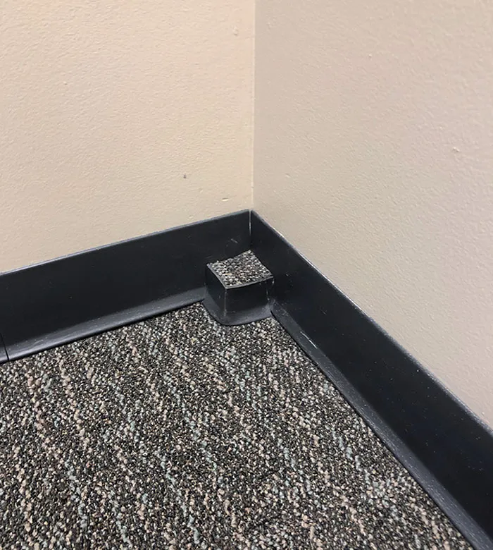 Esta Única Pulgada Cuadrada De Alfombra Levantada Completa Con Forro