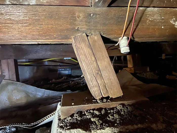 30 'Nightmares' And 'Miracles' Discovered During Structural Inspections