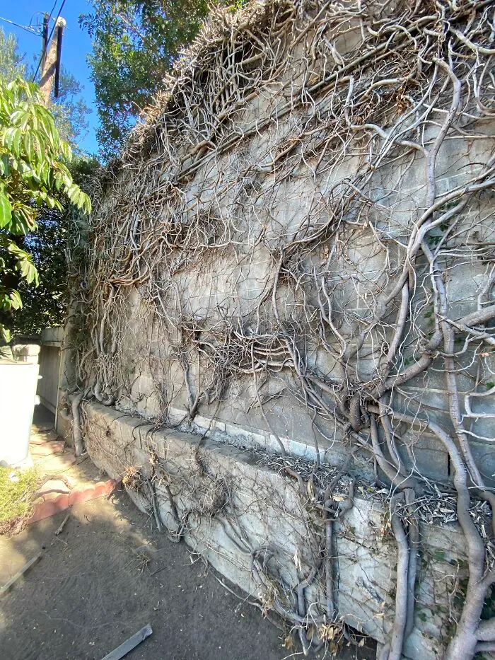 30 'Nightmares' And 'Miracles' Discovered During Structural Inspections