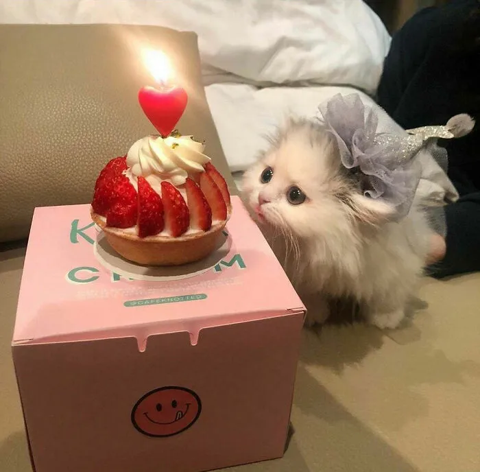 Criminals Have Birthdays Too