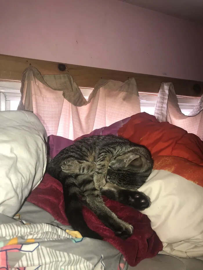 Someone Took My Blanket...