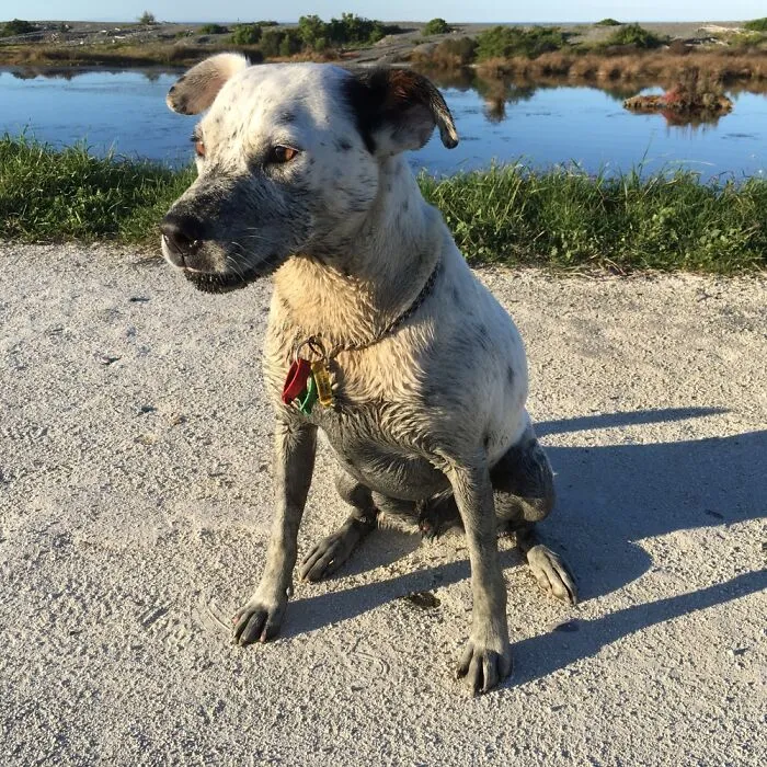 Sid Modelling His New Estuary Look.