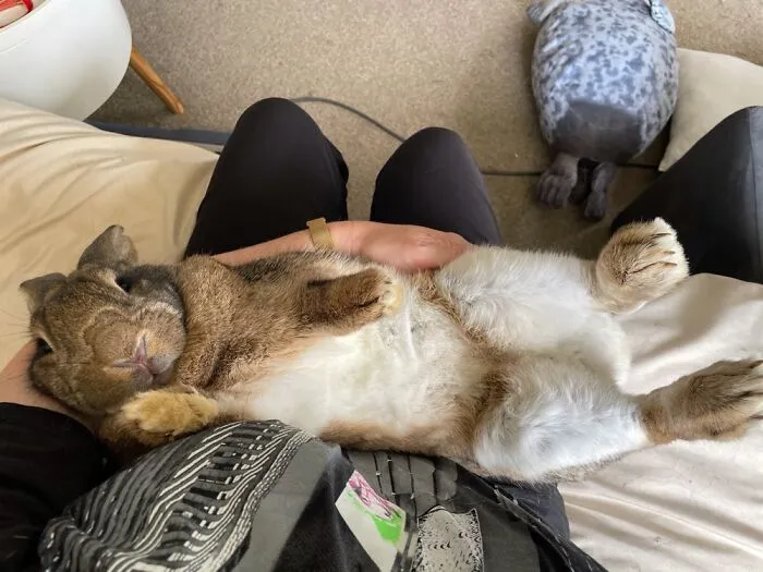 Biscuit Kicking Back.