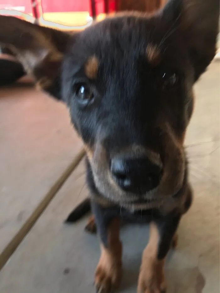 She Was Checking Out My Phone.