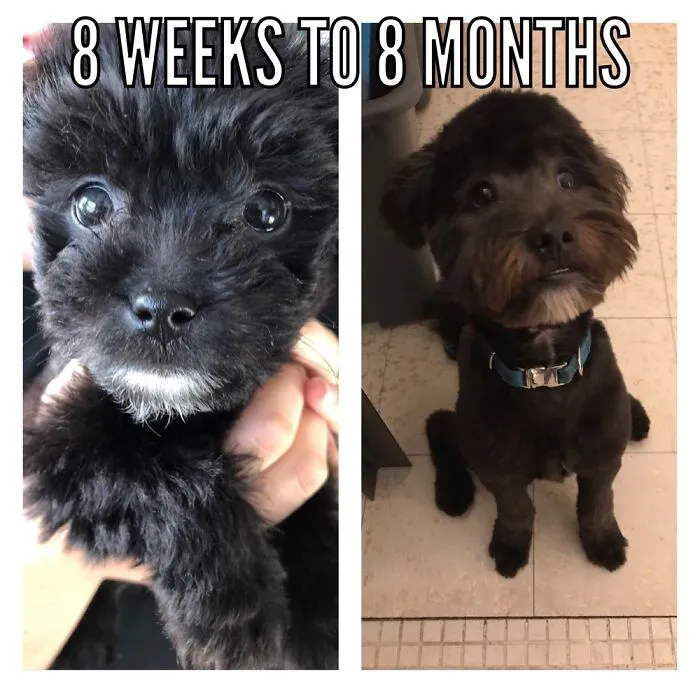 This Is Peanut! I’m Currently Traveling And Miss Him So Much :(