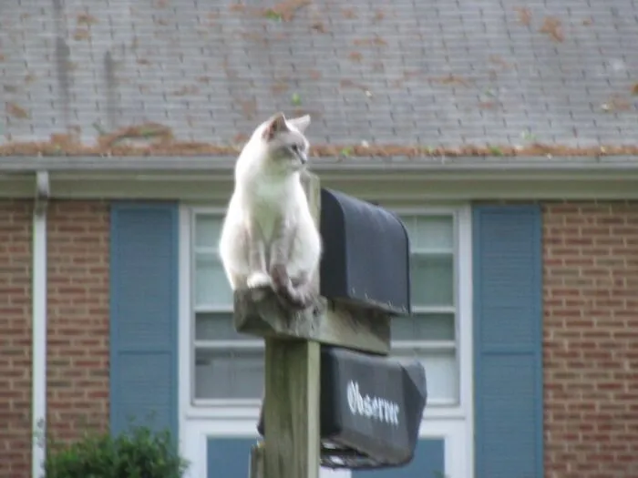 Wendy Is Waiting For The Mailman