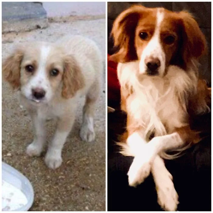 James; Found With His Leg Broken. Now He’s  7.
