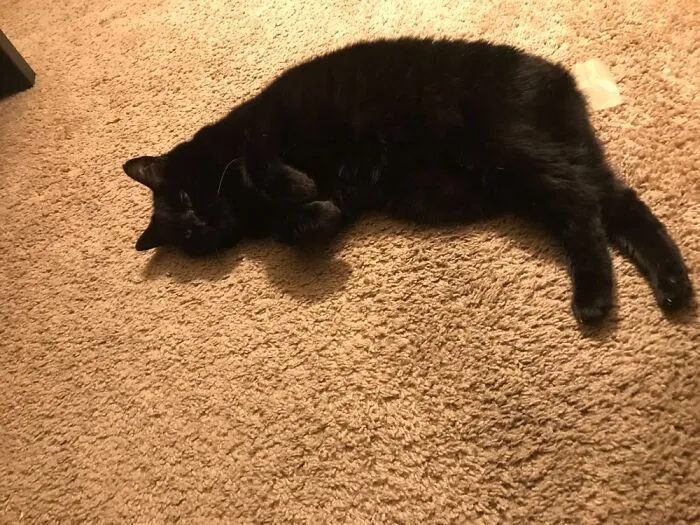 My Void