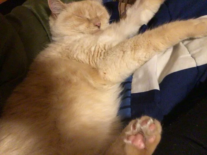 Them To Beans Tho