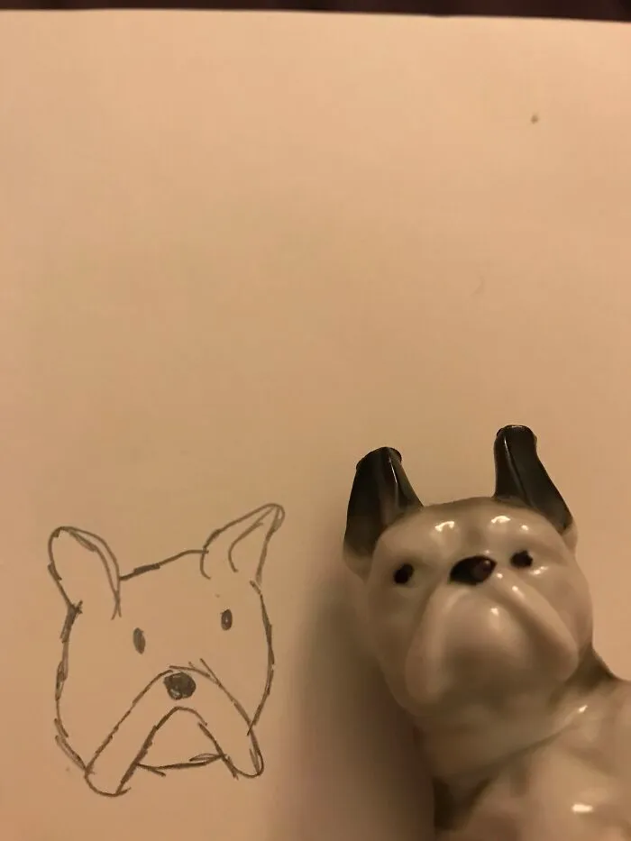 What I Was Trying To Draw vs. What I Drew