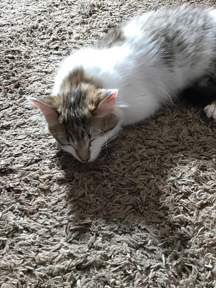 Sleeping For Once...