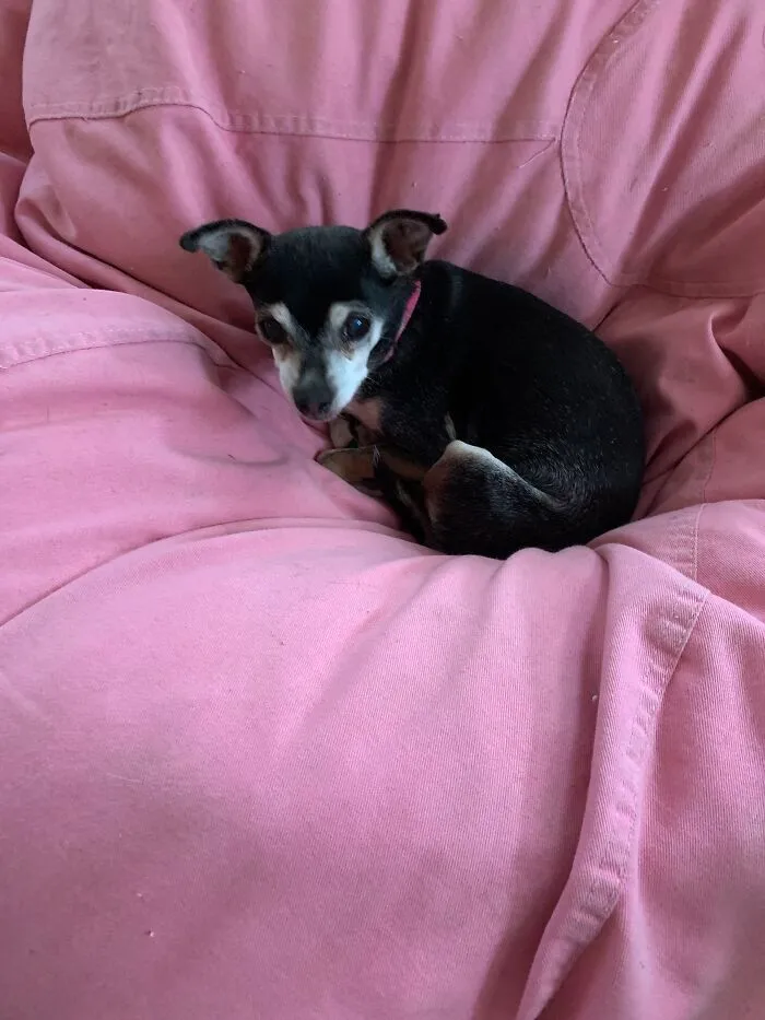 Little Princess