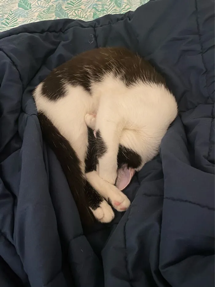 My Baby Ow The Light Is Too Much For Her Sleepy Self