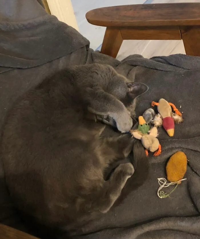 Exhausted After Playing