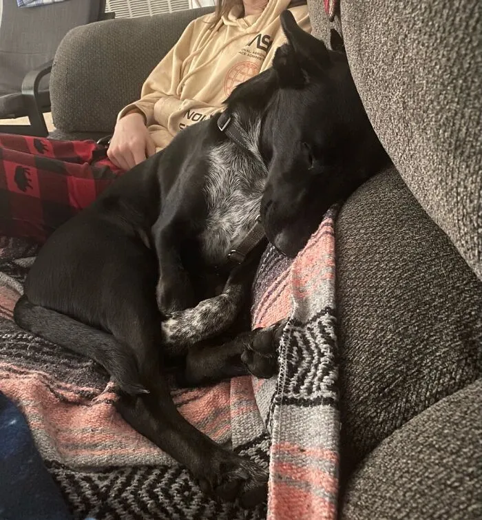 Sleepyhead