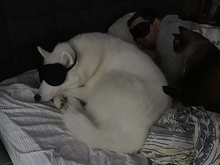 This Is How She Insists On Sleeping On The Weekends.