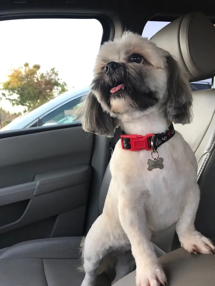 Are We There Yet?