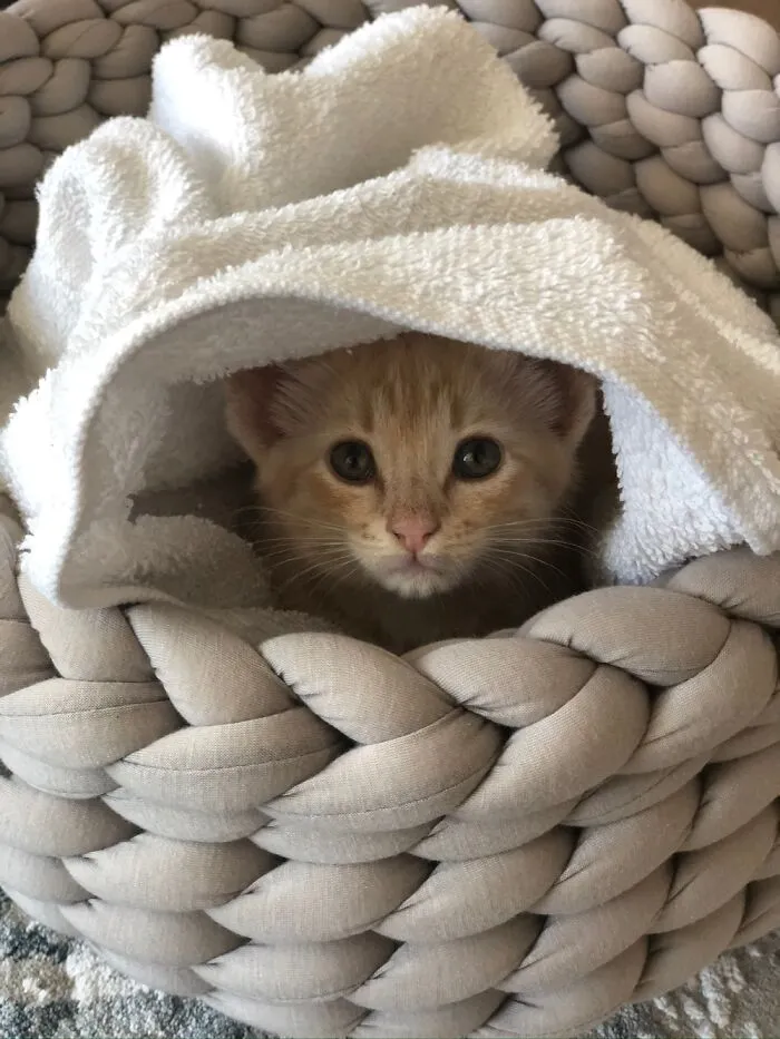 Baby Otis!