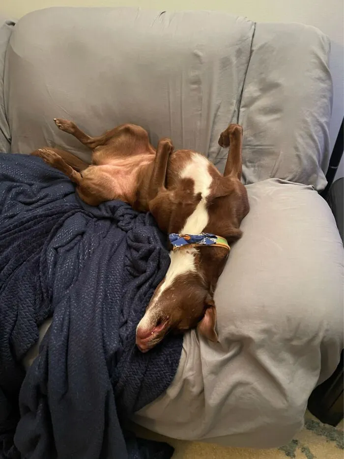 She Is Broken
