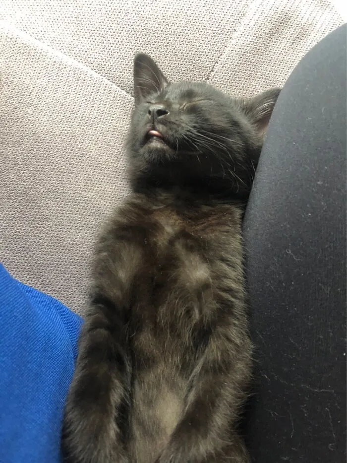 Blep