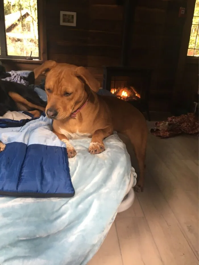 The Classic Half Sit
