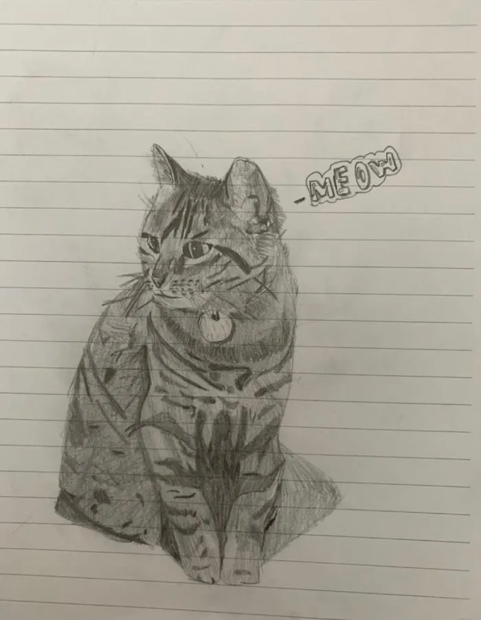 Drawn In Lockdown