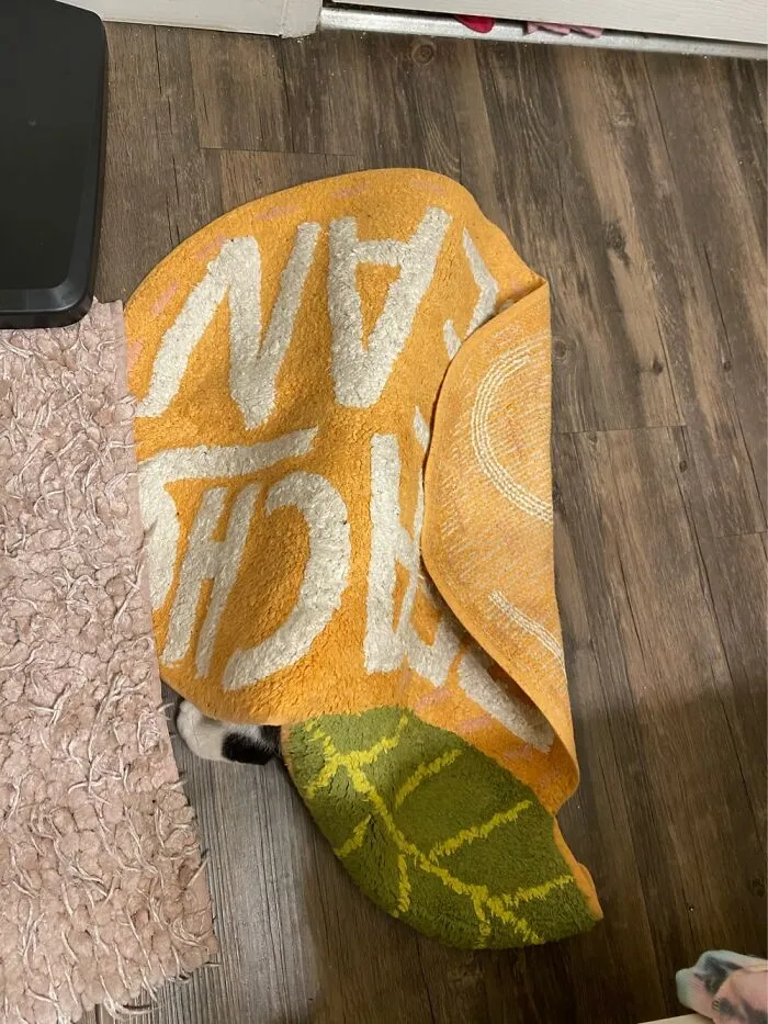 She Likes To Hide Under Mats