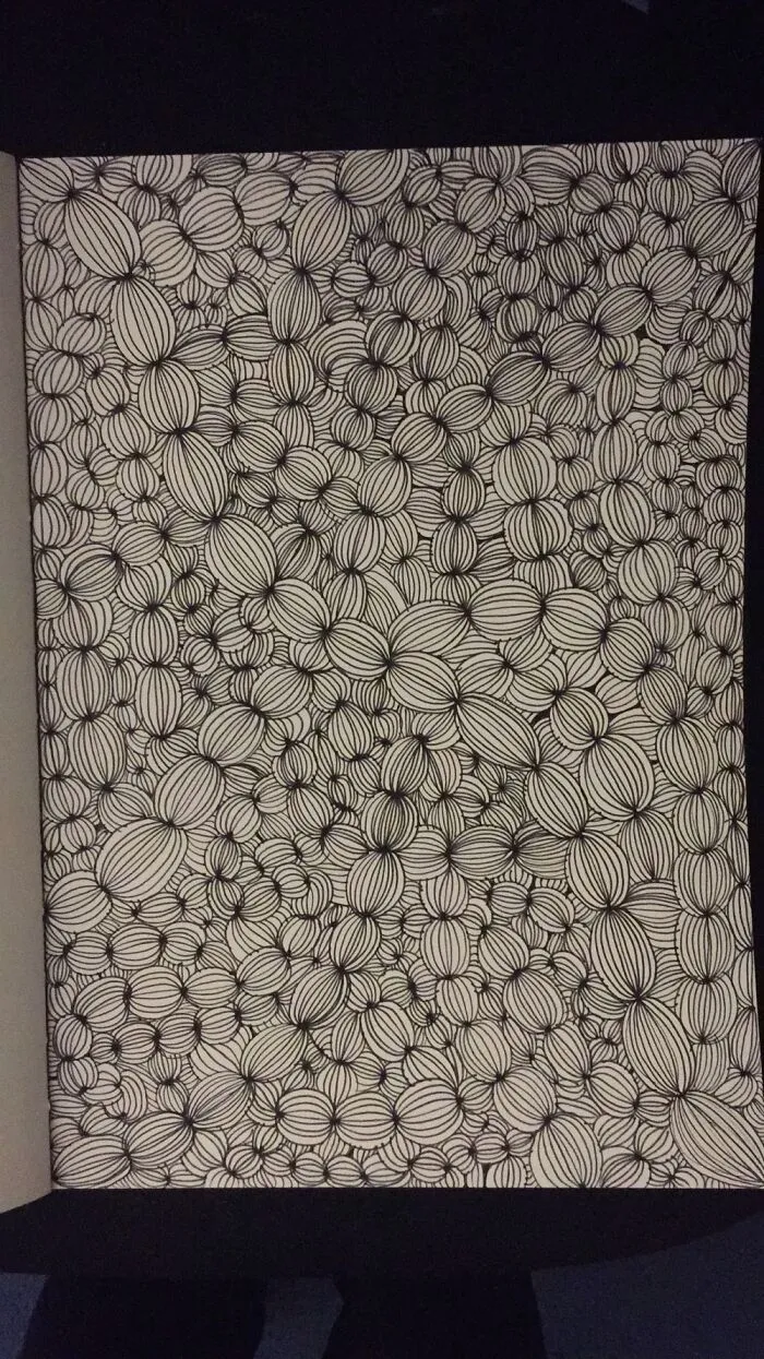 This Drawing I Did. It Hurt My Hand So Much Lol.