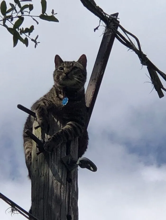 Came Up Here Looking For Something To Push Off.