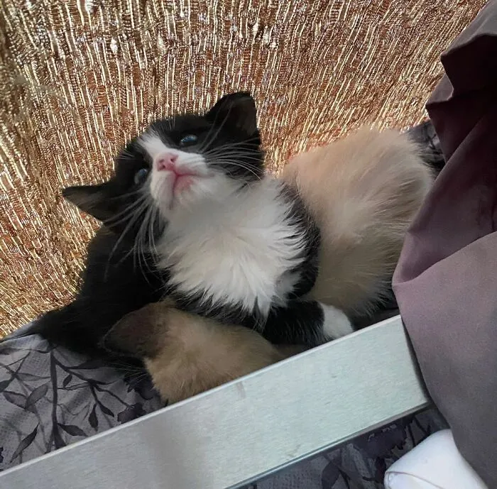 I Don’t Know What’s Going On Here.