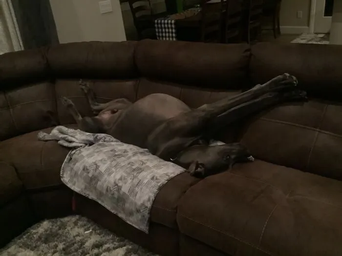 He Was Holding This Pose For Like An Hour.
