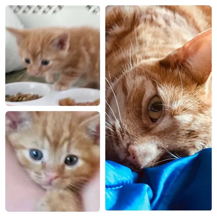 I Don’t Feel He Became Any Less Cute With Time, Just A Hell Of A Lot Louder