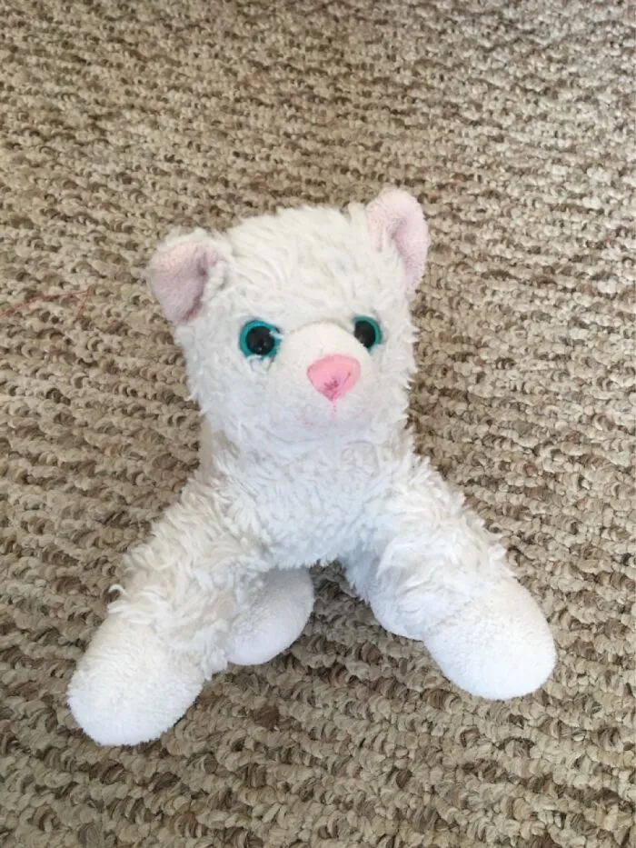 Snowball The Cat