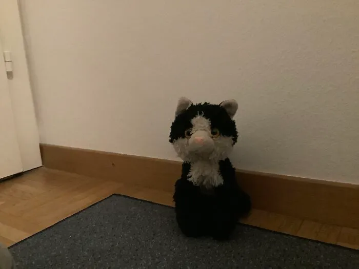 This Is Mittens