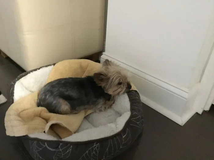 Teenie Is Chill’n In Her Bed