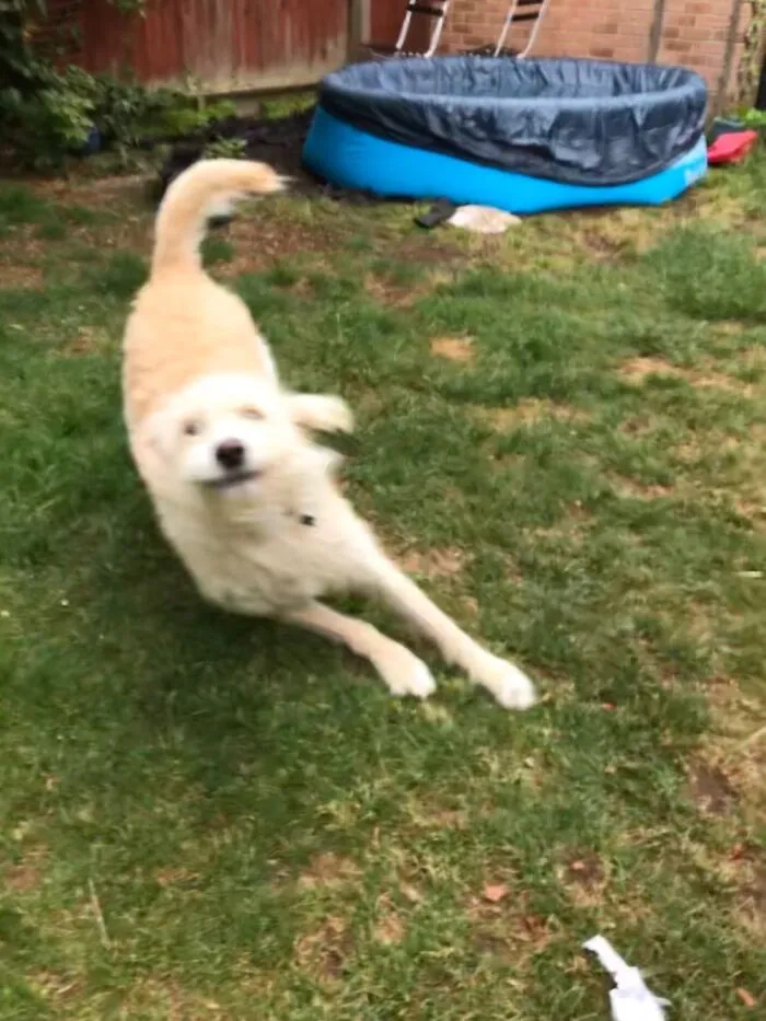 Zoom To The Food