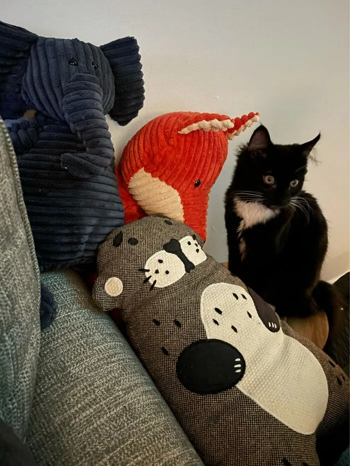 One Of These Things Is Not Like The Others